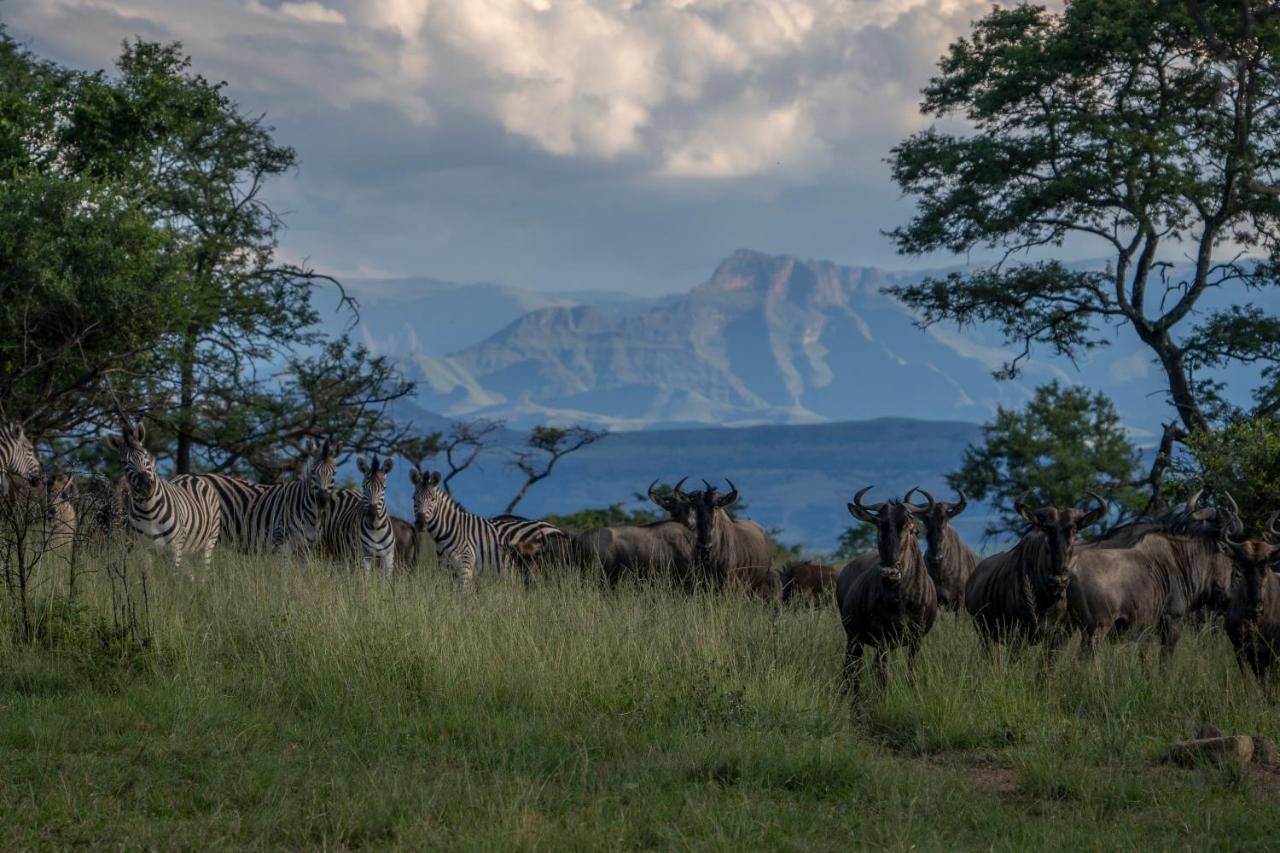 Sasi Africa Luxury Tented Bush Lodge Бергвил Екстериор снимка